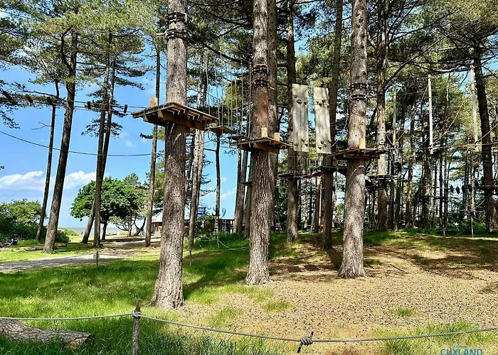 Haus Frauenpreiss 62 库克斯港